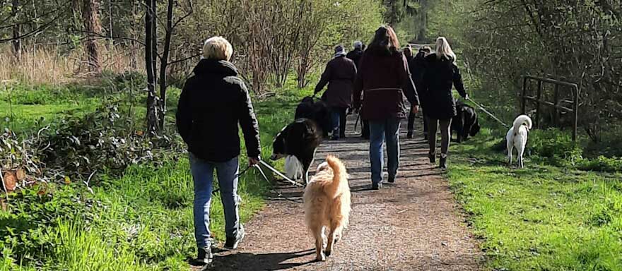 Petra-Schwenniger_Schule-für-Menschen-mit-Hund_Social walk